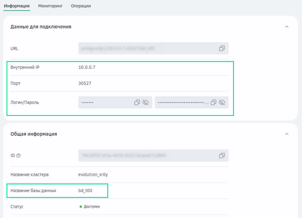 "Данные для подключения" и "Общая информация" на странице информации кластера